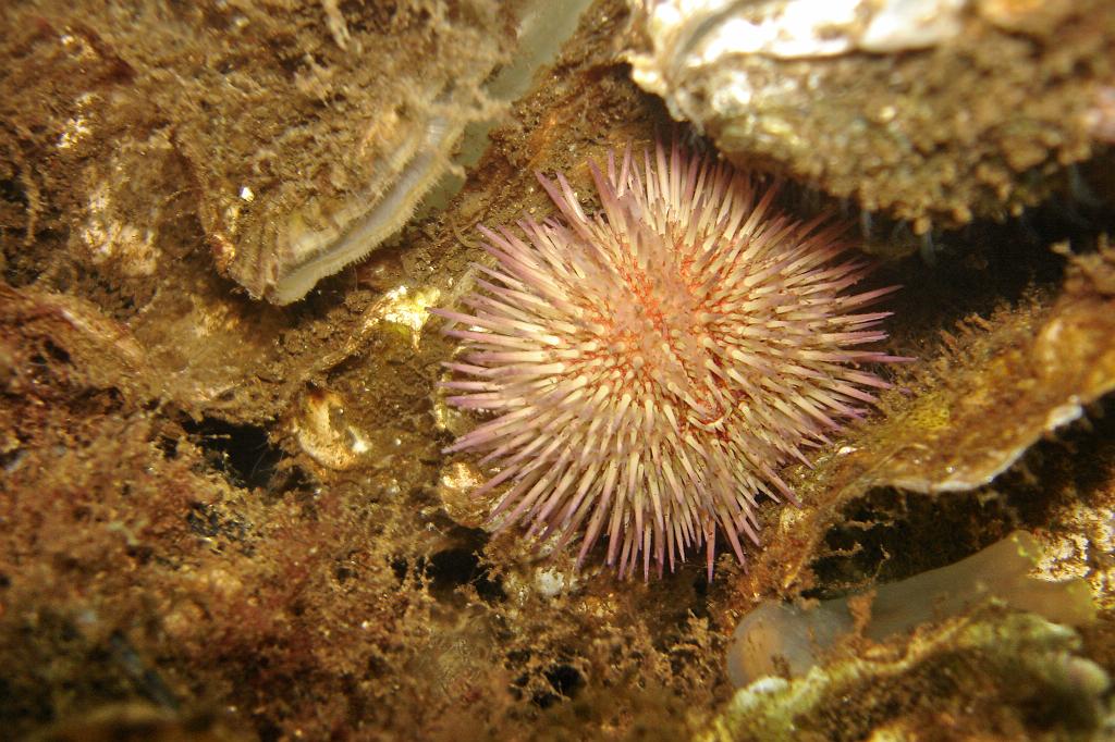 2008-08-08 19-09-47.jpg